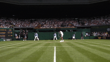 Serve London GIF by Wimbledon