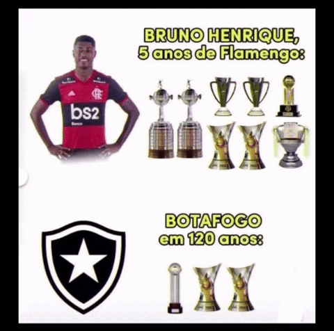 Botafogo GIF