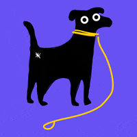National-black-dog-day GIFs - Get the best GIF on GIPHY