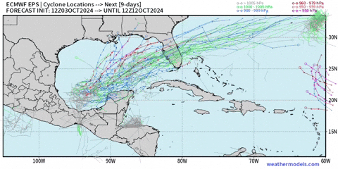 giphy.gif?cid=9b38fe91rn4p1dd5f8d4y1bgm3