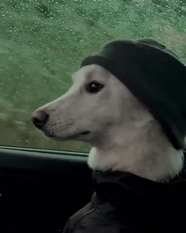 Eminem GIF