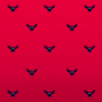 No Idea What GIF