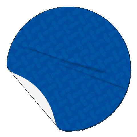 Pacoca Projetoverao Sticker by Santa Helena Alimentos