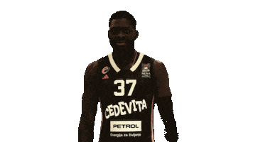 Derekogbeide Sticker by kkcedevitaolimpija