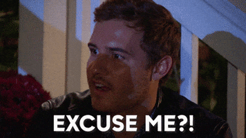 Excuse Me Love GIF by The Bachelor