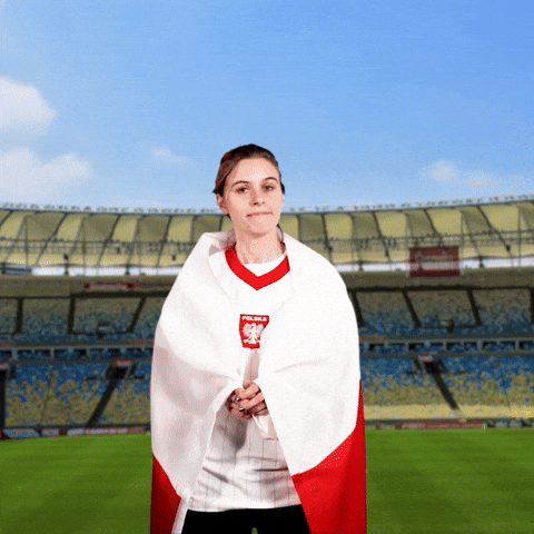Robert Lewandowski Omg GIF by World Cup
