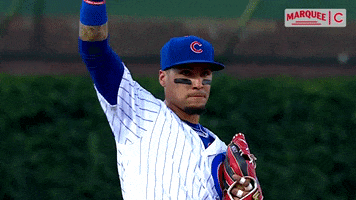 Chicago Cubs Fist Bump GIF by Marquee Sports Network