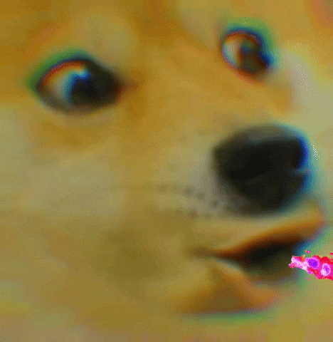 Swag Doge GIF