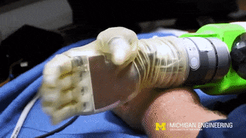 Hands GIF