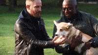 GIF de cachorro da 7ª temporada por Brooklyn Nine-Nine