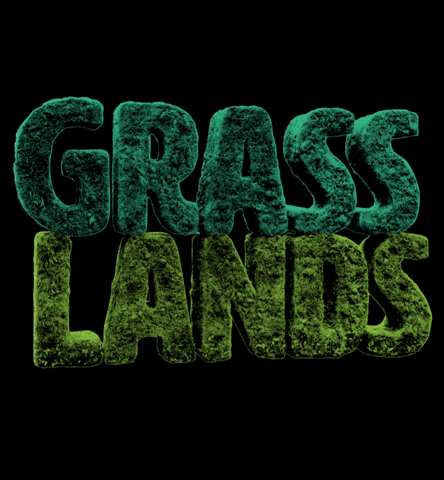 San Francisco Sf GIF by Outside Lands