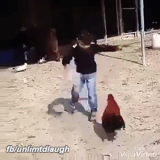 rajbharath1  GIF