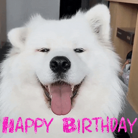 Happy Birthday Gif By Moodman Find Share On Giphy