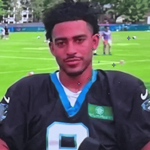 Carolina Panthers Seriously GIF