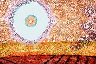 Tejido Pabellon GIF - Find & Share on GIPHY