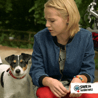 Tiere Bis Unters Dach Dog GIF by SWR Kindernetz