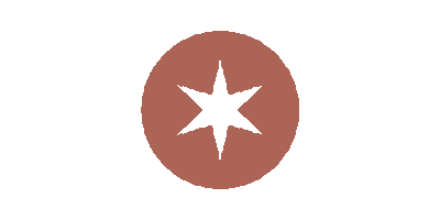 Humboldt Park Star Sticker by missiodeichicago