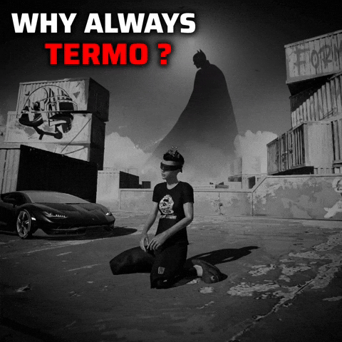 Termo GIF
