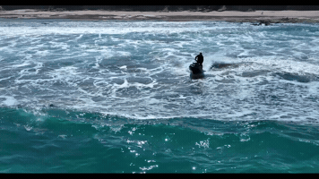 VICSKIRIDERS GIF
