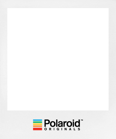 Film Photoframe GIF by Polaroid