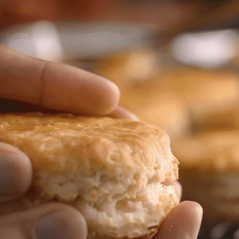 Hungry Fried Chicken GIF by Popeyes Chicken - Find & Share on GIPHY