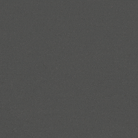 Mexican Food Gif Artist GIF