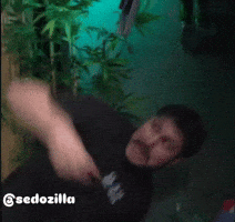 Sedozilla GIF