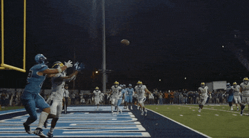 College Sports Football GIF by Delaware Blue Hens