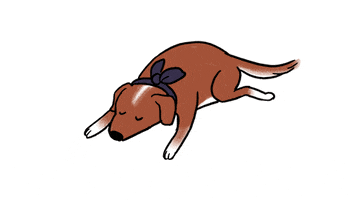 percolategalactic dog tired sleepy doge GIF