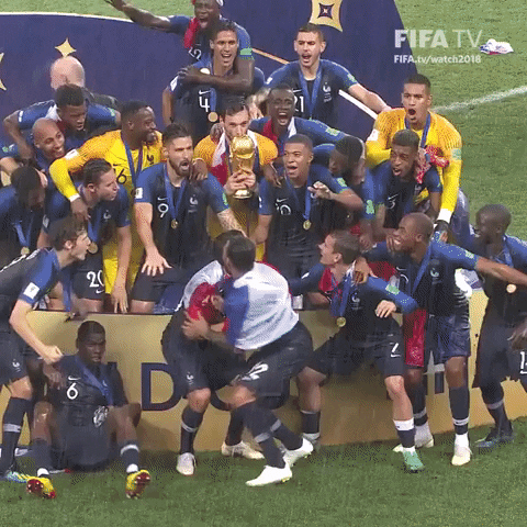 France GIF by nss sports
