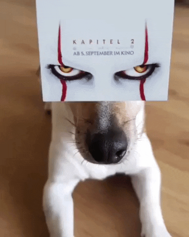 Es Jack Russell GIF by INTEGR8