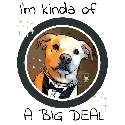 Dog GIF