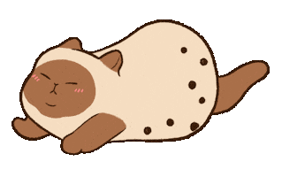 Cat 珍珠奶茶 Sticker by Niufy