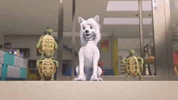 High Five Dog GIF by TeamTO