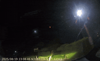 Animated GIF