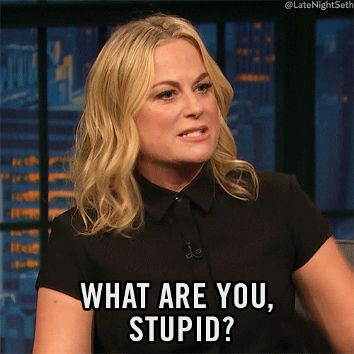Amy Poehler Lol GIF by Late Night with Seth Meyers