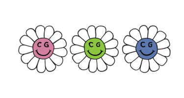 Daisy Daisies GIF by CG Labs