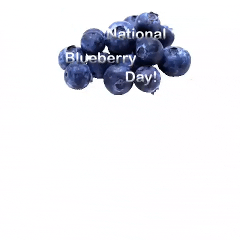 donnathomas-rodgers blue fruit azul fruits GIF