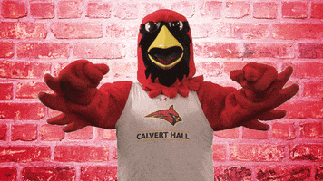 calverthallcollege red gold cardinals hall GIF