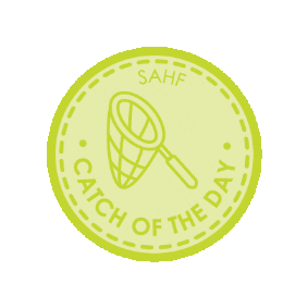 Sault Area Hospital Foundation Sticker