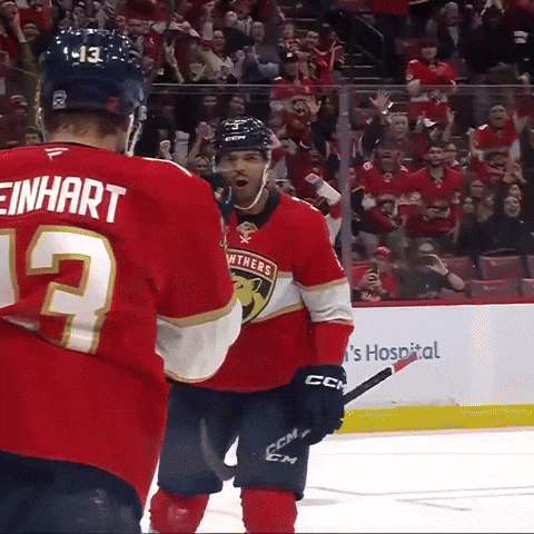 Hell Yeah Point GIF by Florida Panthers