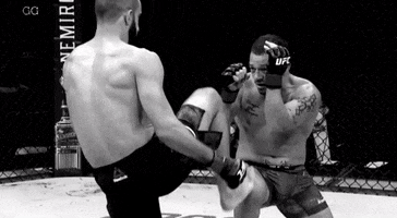 Ufc GIF