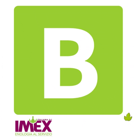 Imex Italiana srl GIF