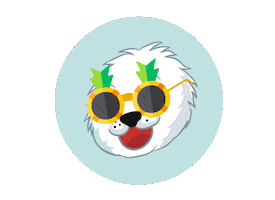 Frippo Sticker