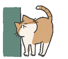 Cat Sticker