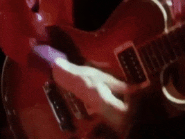 the police GIF