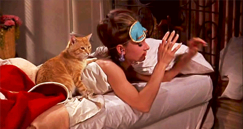 Audrey Hepburn Cat GIF - Find & Share on GIPHY