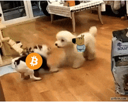 Pump It Crypto GIF by Web3 Newswire