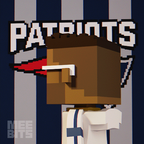 Super Bowl Nfl GIF by Meebits