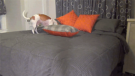 When-i-cant-stop-laughing GIFs - Get the best GIF on GIPHY